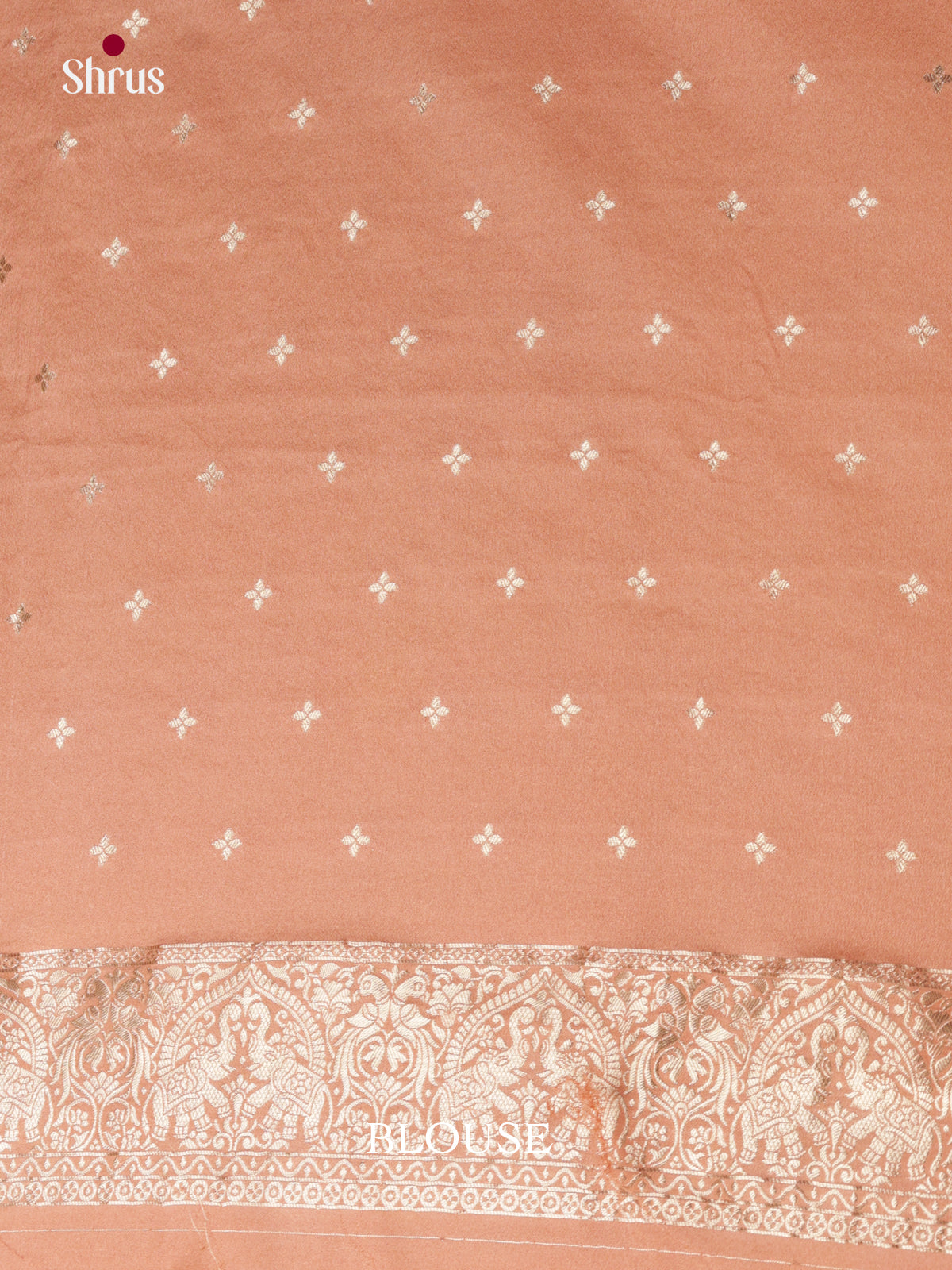 DKS29179 - Semi Georgette Saree