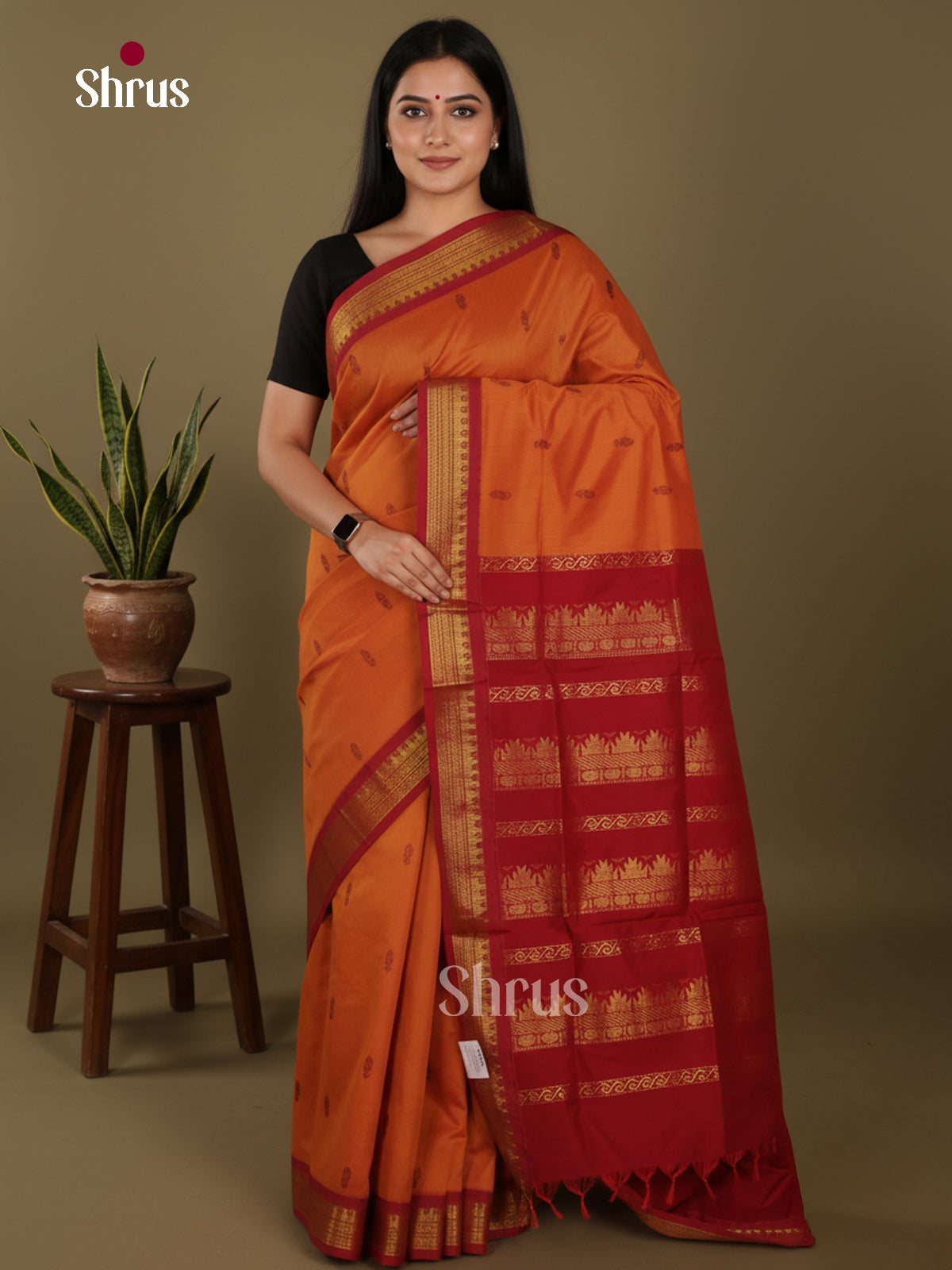 DLS01036 - Kalyani Cotton Saree