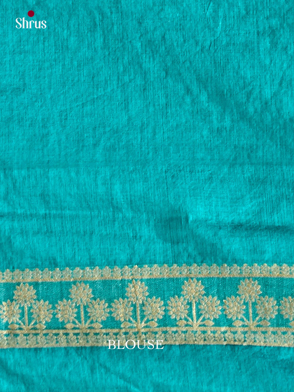 Jute Banaras Saree - EJ24317