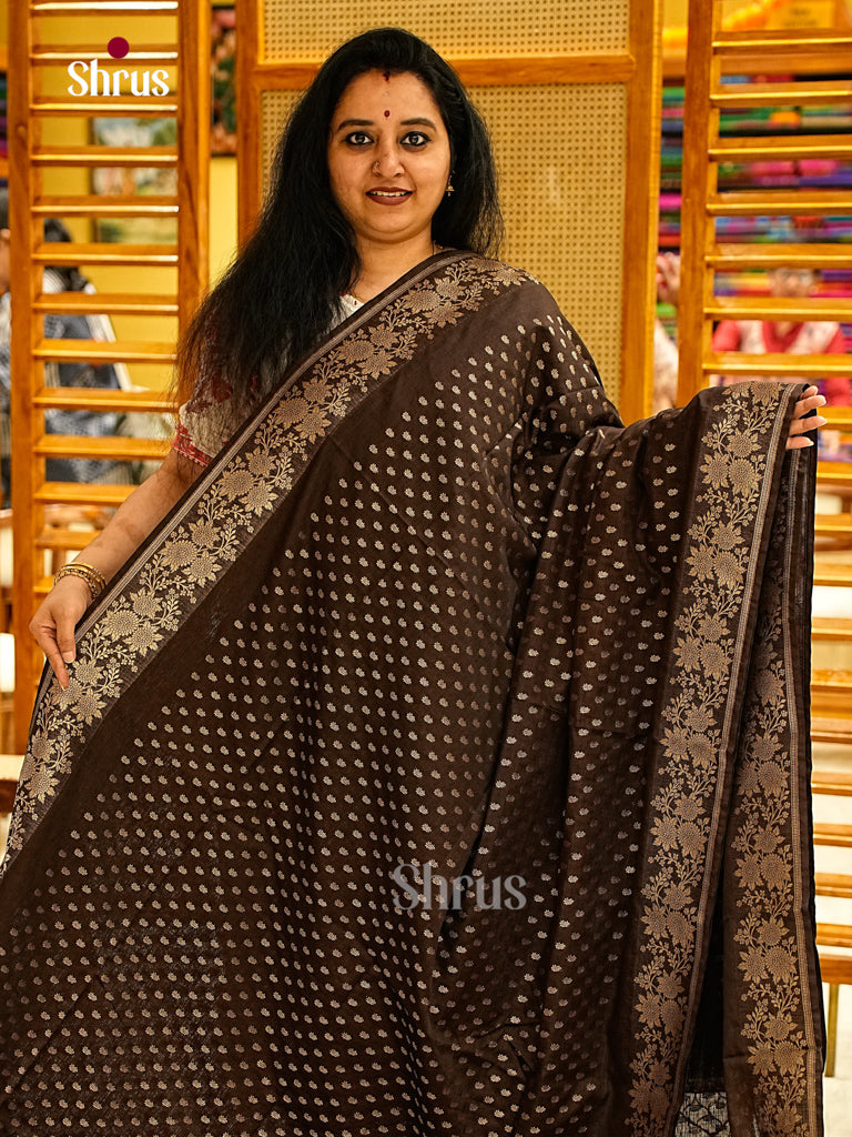 Jute Banaras Saree - EJ24318