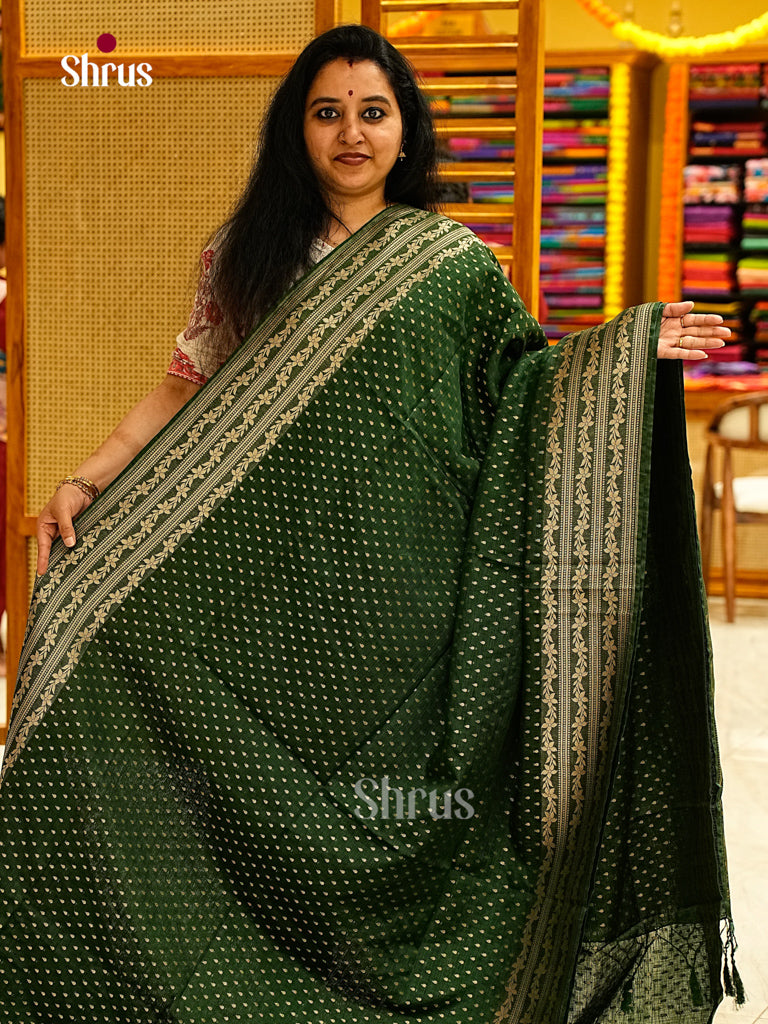 Jute Banaras Saree - EJ24323