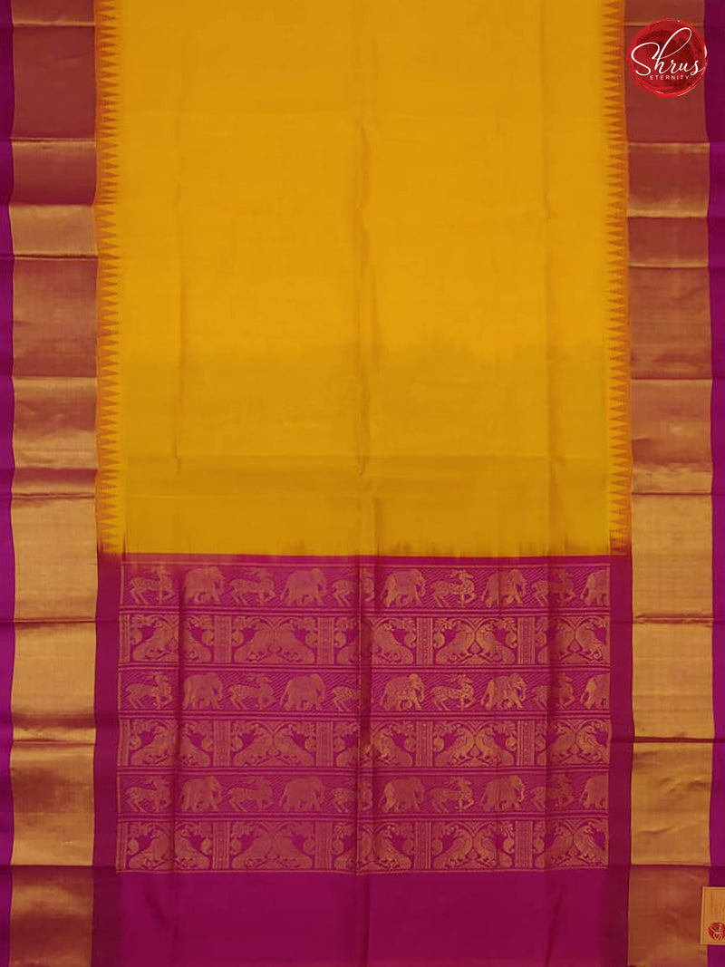 Yellow & Mejanta  - Silk Cotton - Shop on ShrusEternity.com