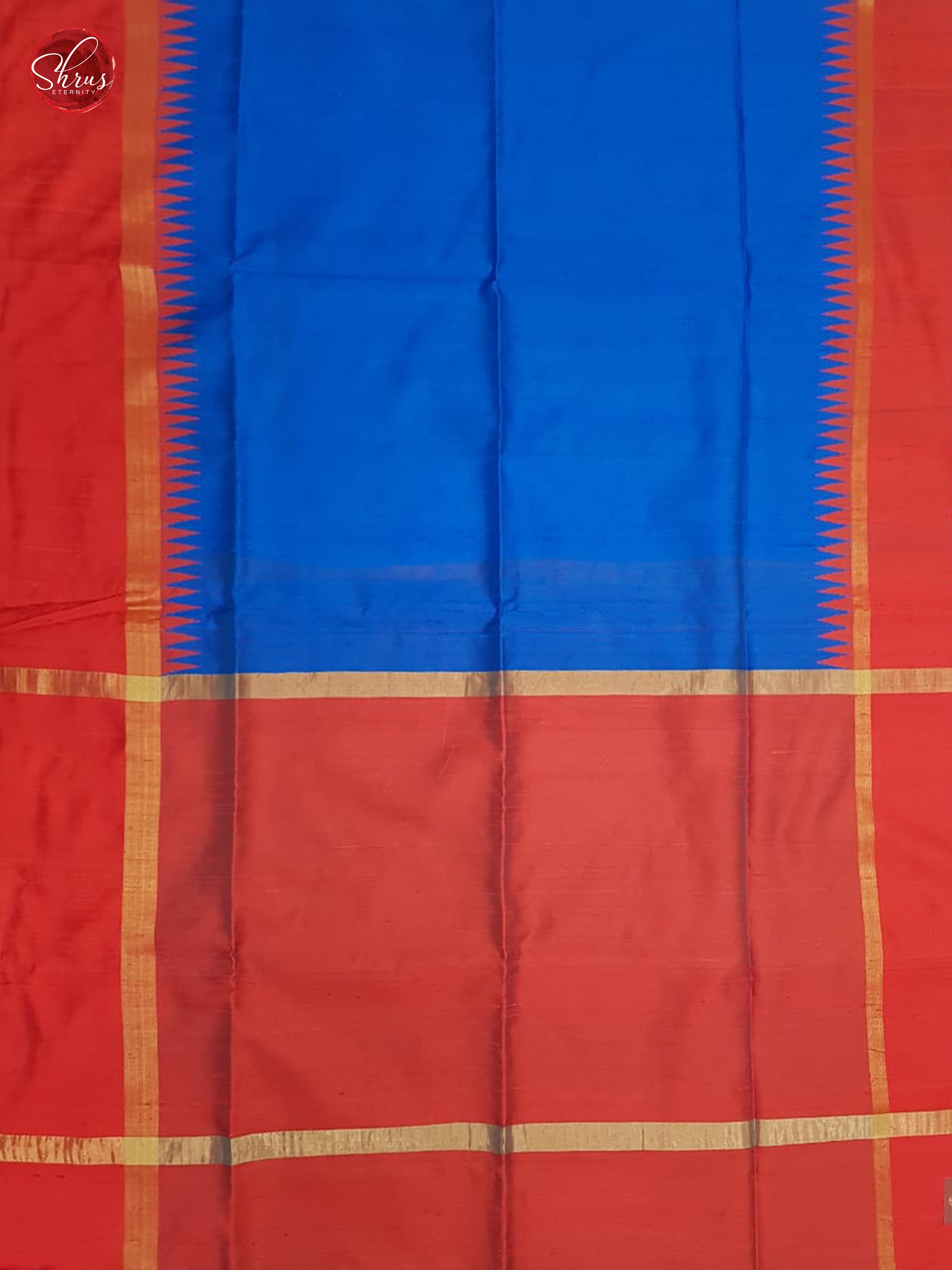 Blue & Red - Raw Silk with Border & Gold Zari - Shop on ShrusEternity.com