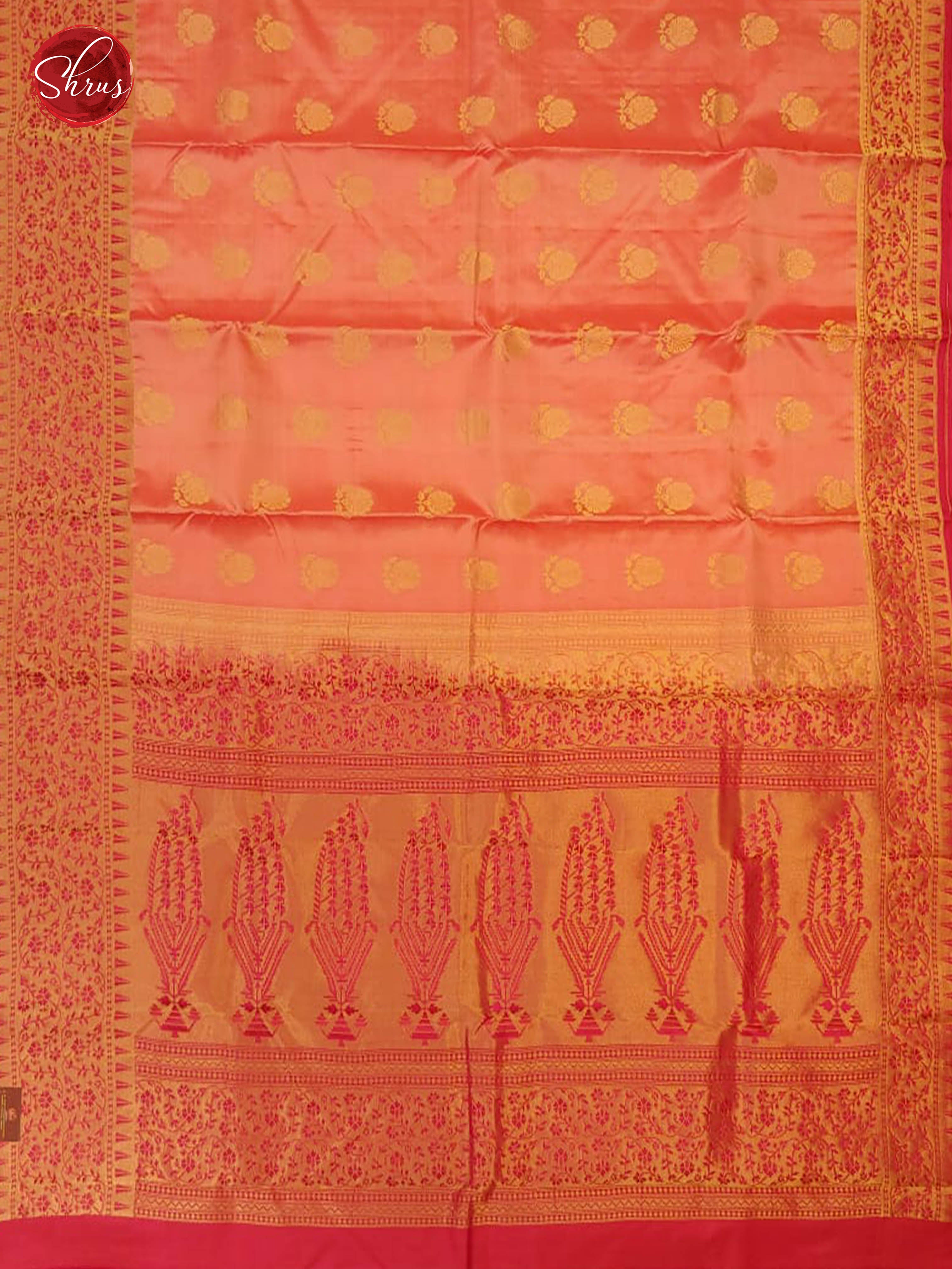 Peach & Pink  - Kanchipuram Silk with Border & Gold Zari - Shop on ShrusEternity.com