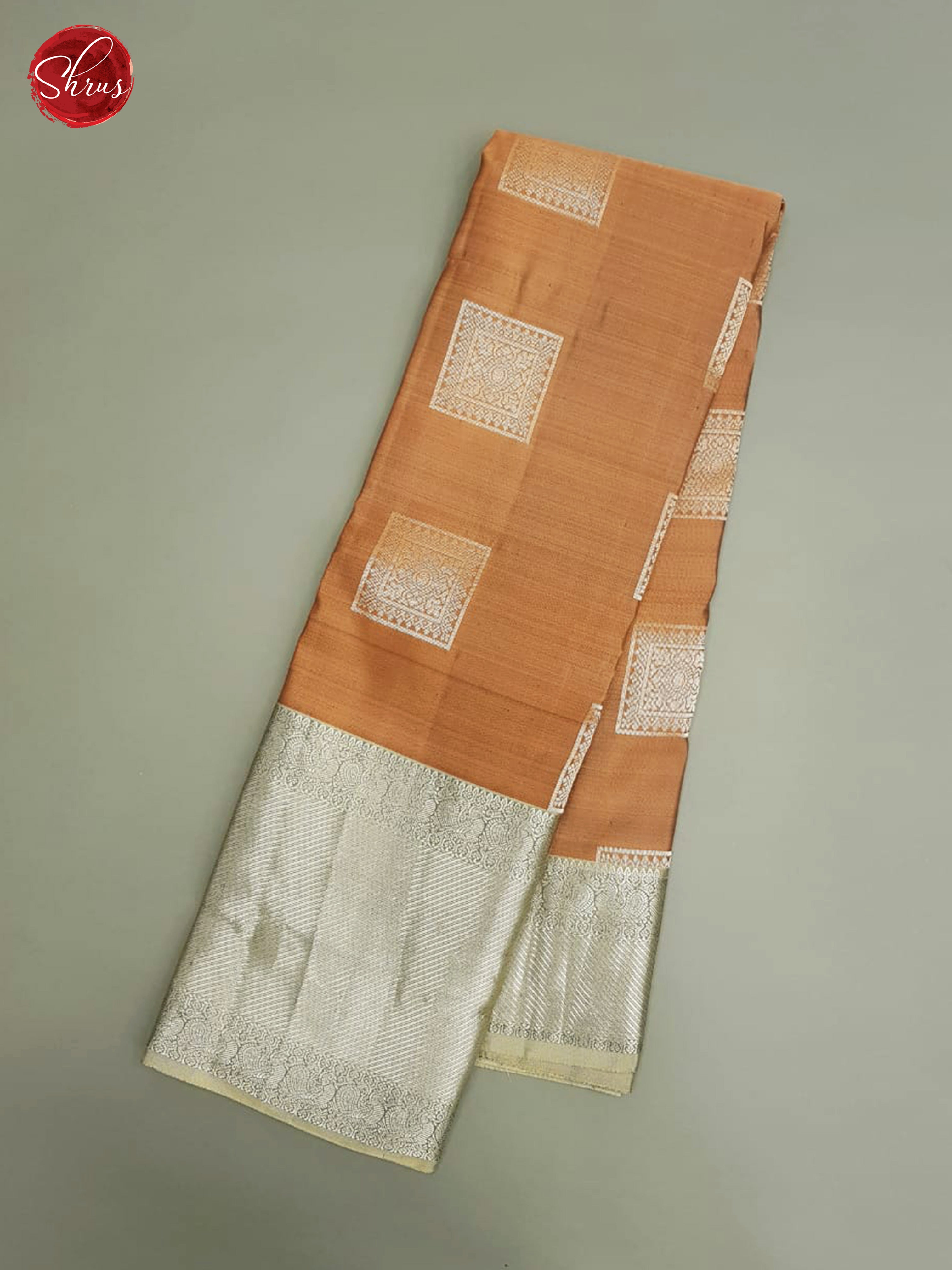 Light Brown & Grey- Kanchipuram Silk with Border & Gold zari - Shop on ShrusEternity.com