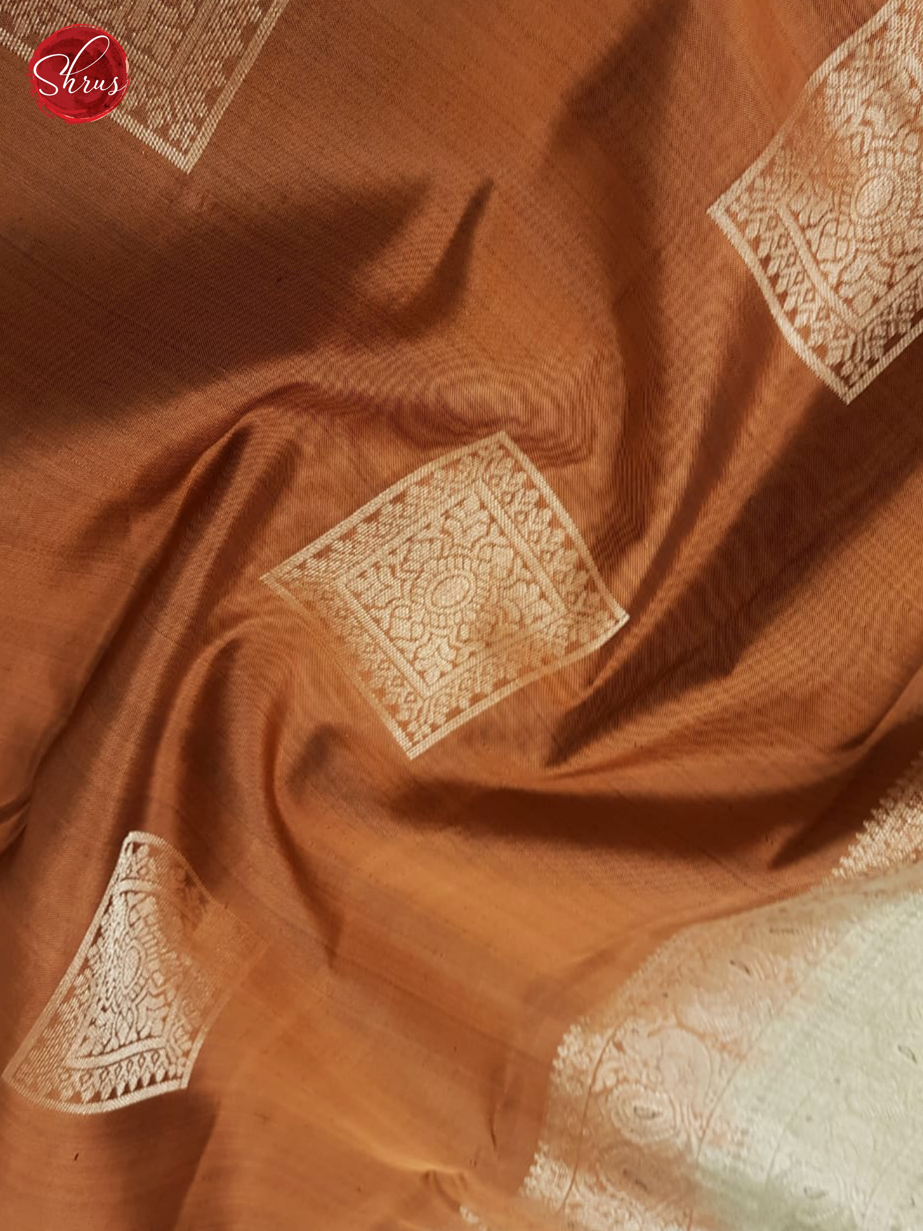 Light Brown & Grey- Kanchipuram Silk with Border & Gold zari - Shop on ShrusEternity.com
