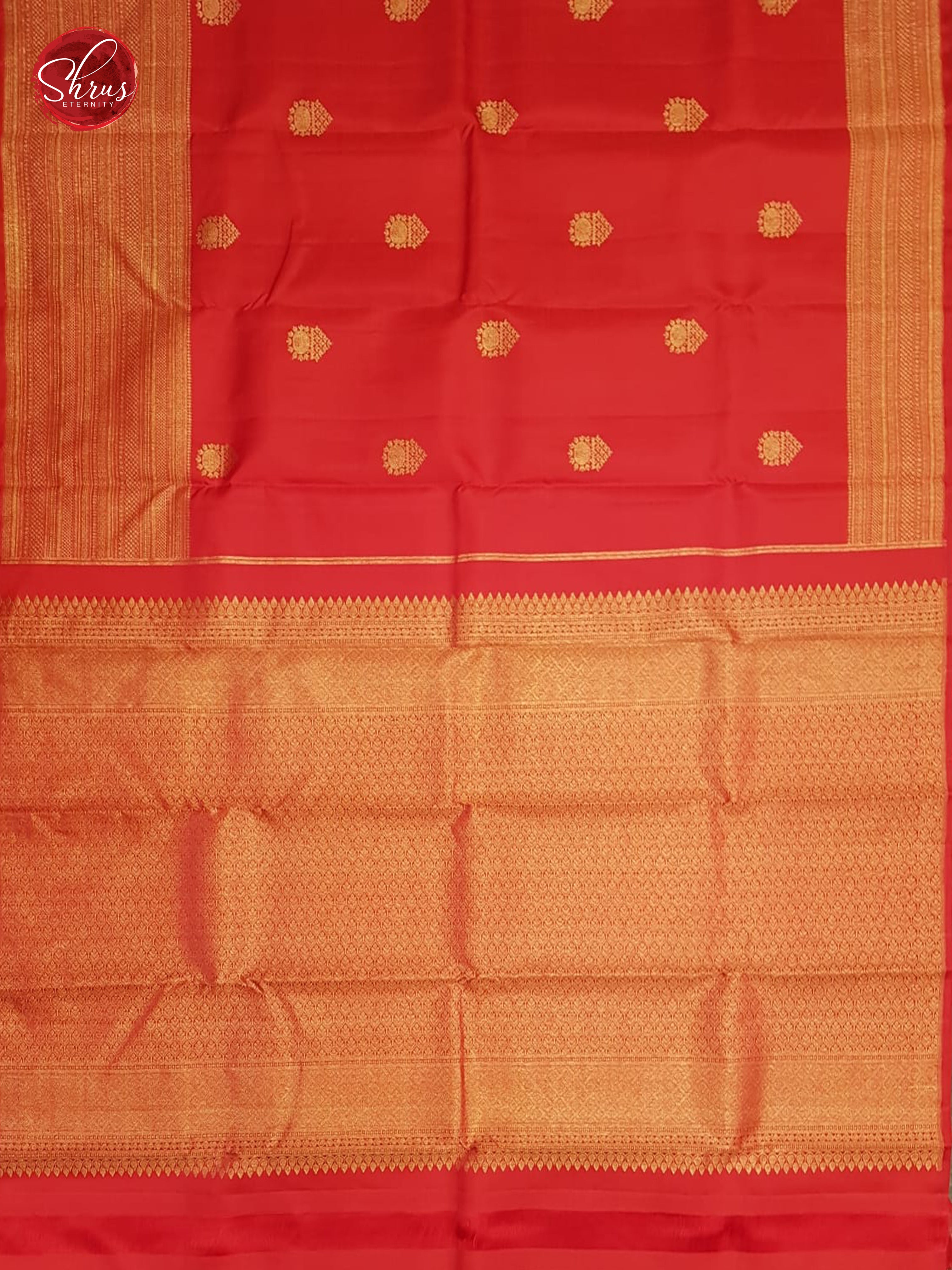 Red(Single Tone) - Kanchipuram Silk with Gold Zari & Border - Shop on ShrusEternity.com