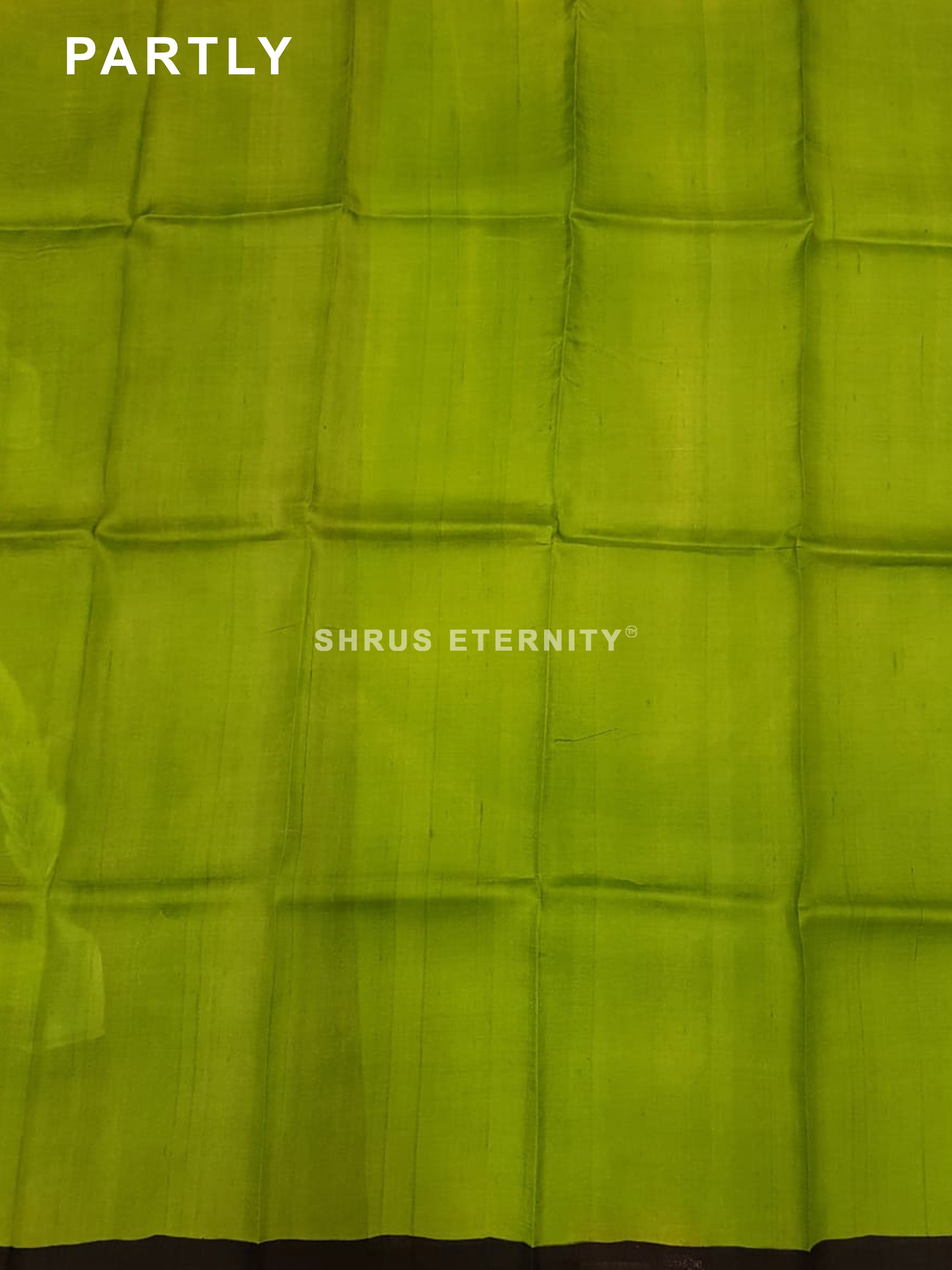 Black & Green - Printed Silk with Handpaint work - Shop on ShrusEternity.com