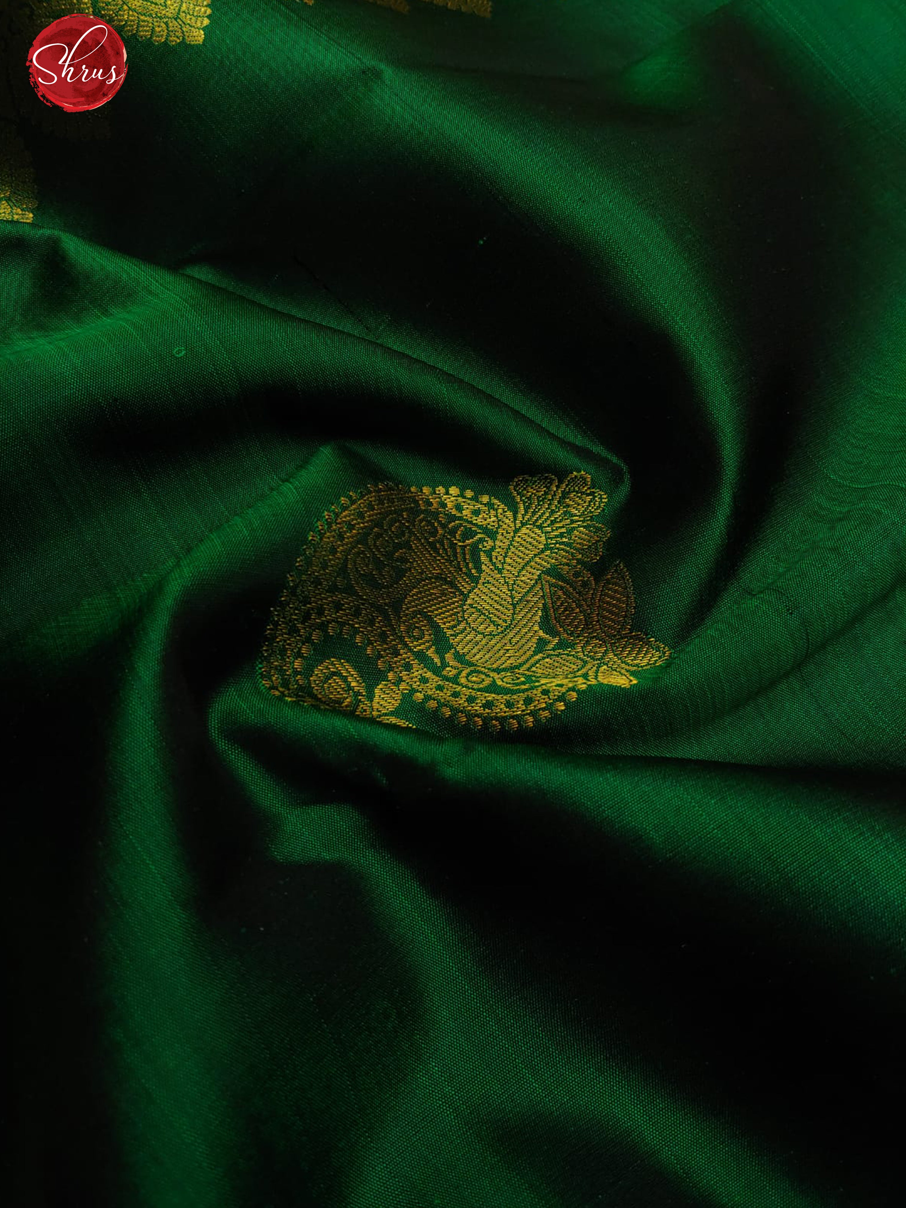 Green(Single tone)- Kanchipuram Silk with zari woven paisleys motifs on the body & Zari Border - Shop on ShrusEternity.com