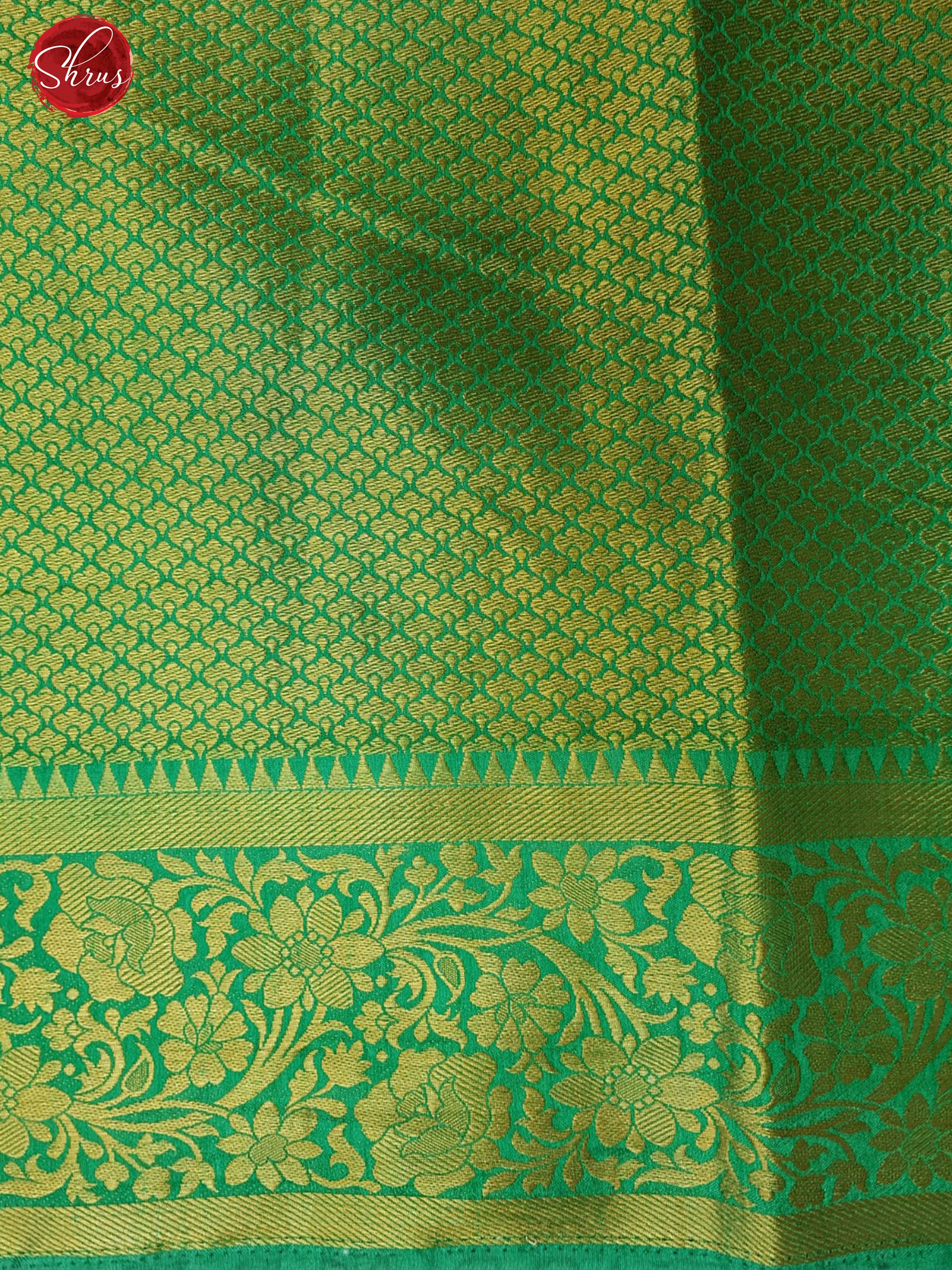 Blue & Green - Semi patola with floral patola pattern on the body & Contrast Zari Border - Shop on ShrusEternity.com