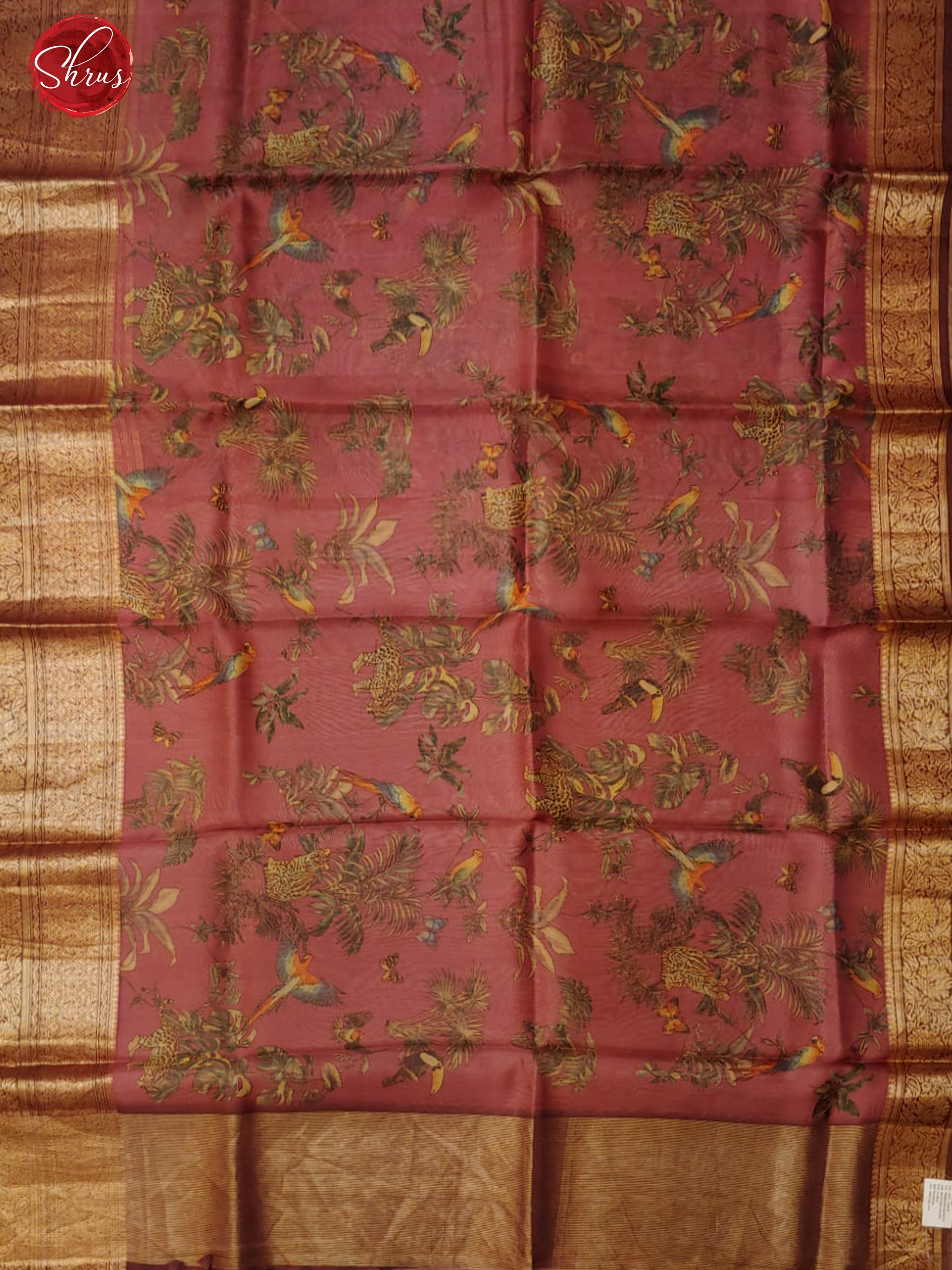 Brown (Single tone)- Organza with floral print on the body and zari border - Shop on ShrusEternity.com