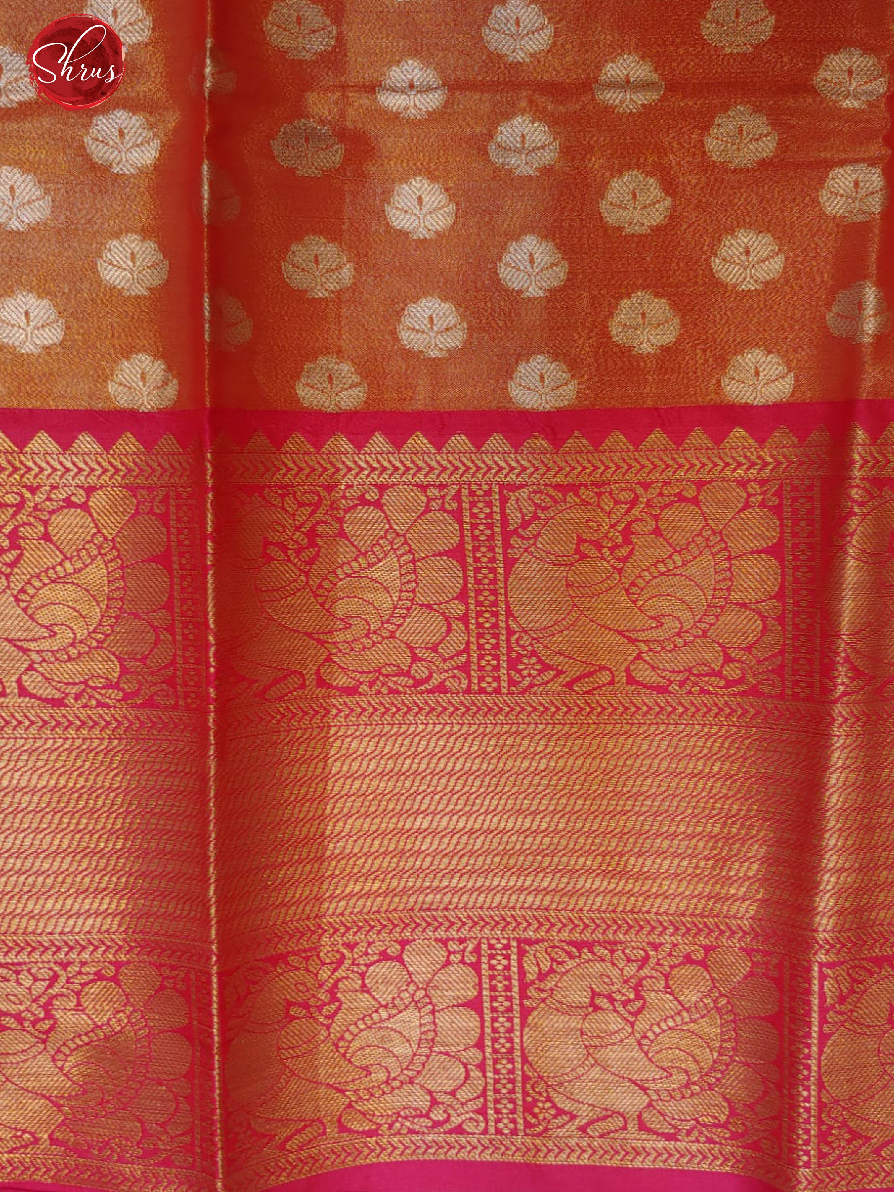 Orange & Pink - Tissue Banarasi with zari brocade on the body and zari border - Shop on ShrusEternity.com