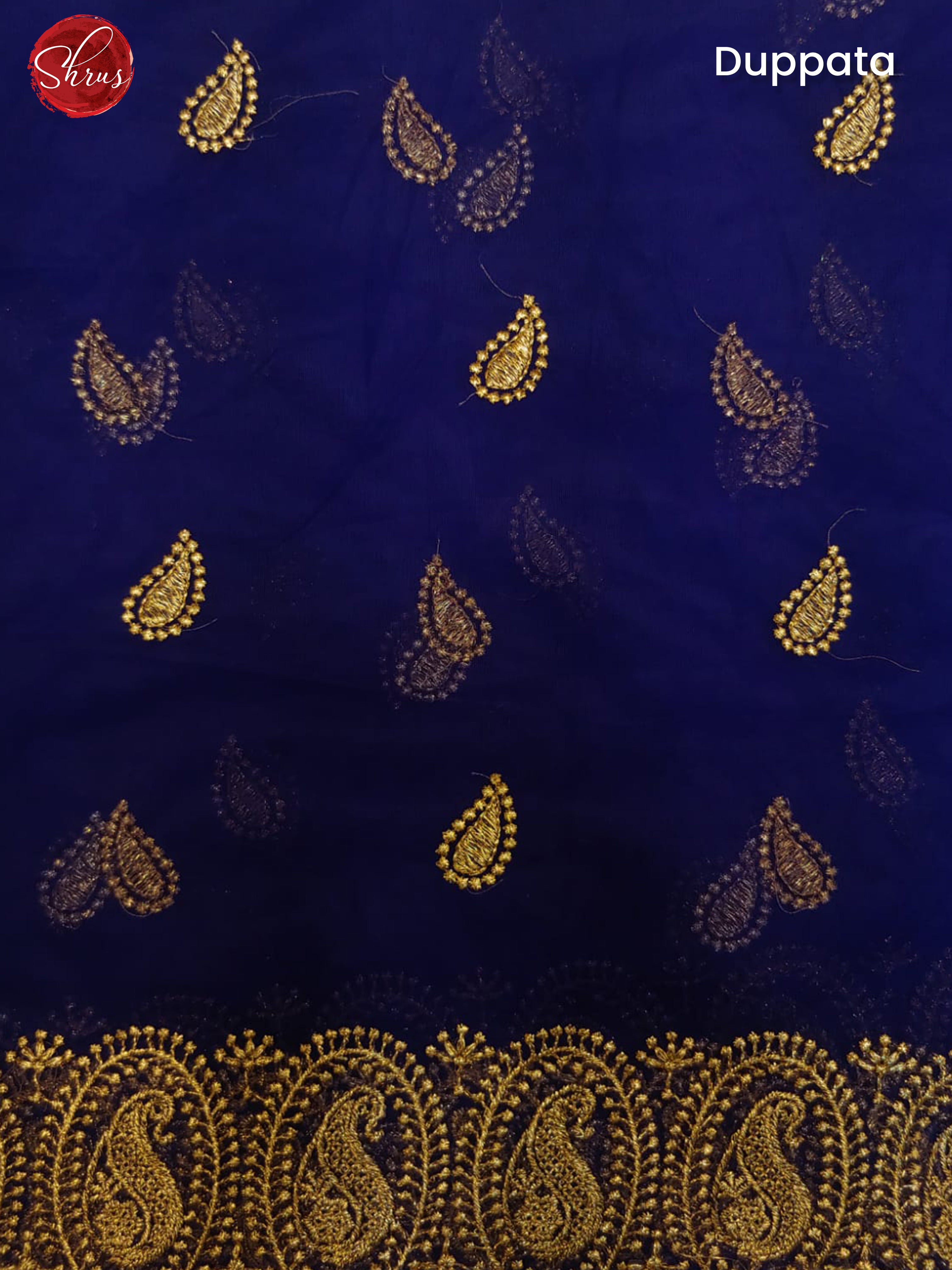 Majenta Pink & Blue - Chiffon Semi Stitched Lehenga with zari butta on the skirt & Contrast Dupatta - Shop on ShrusEternity.com