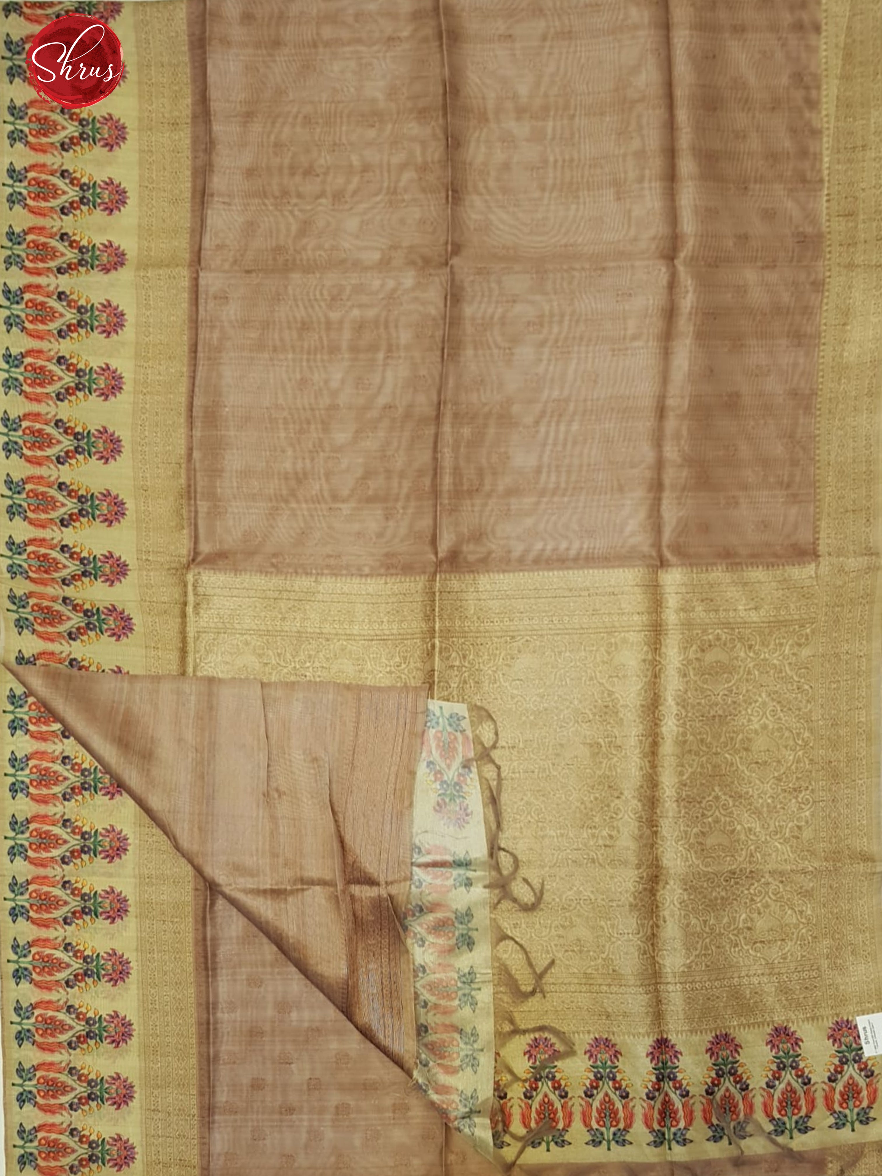 Brown & Beige - Semi Tussar with zari  buttas on the body & contrast   zari border - Shop on ShrusEternity.com