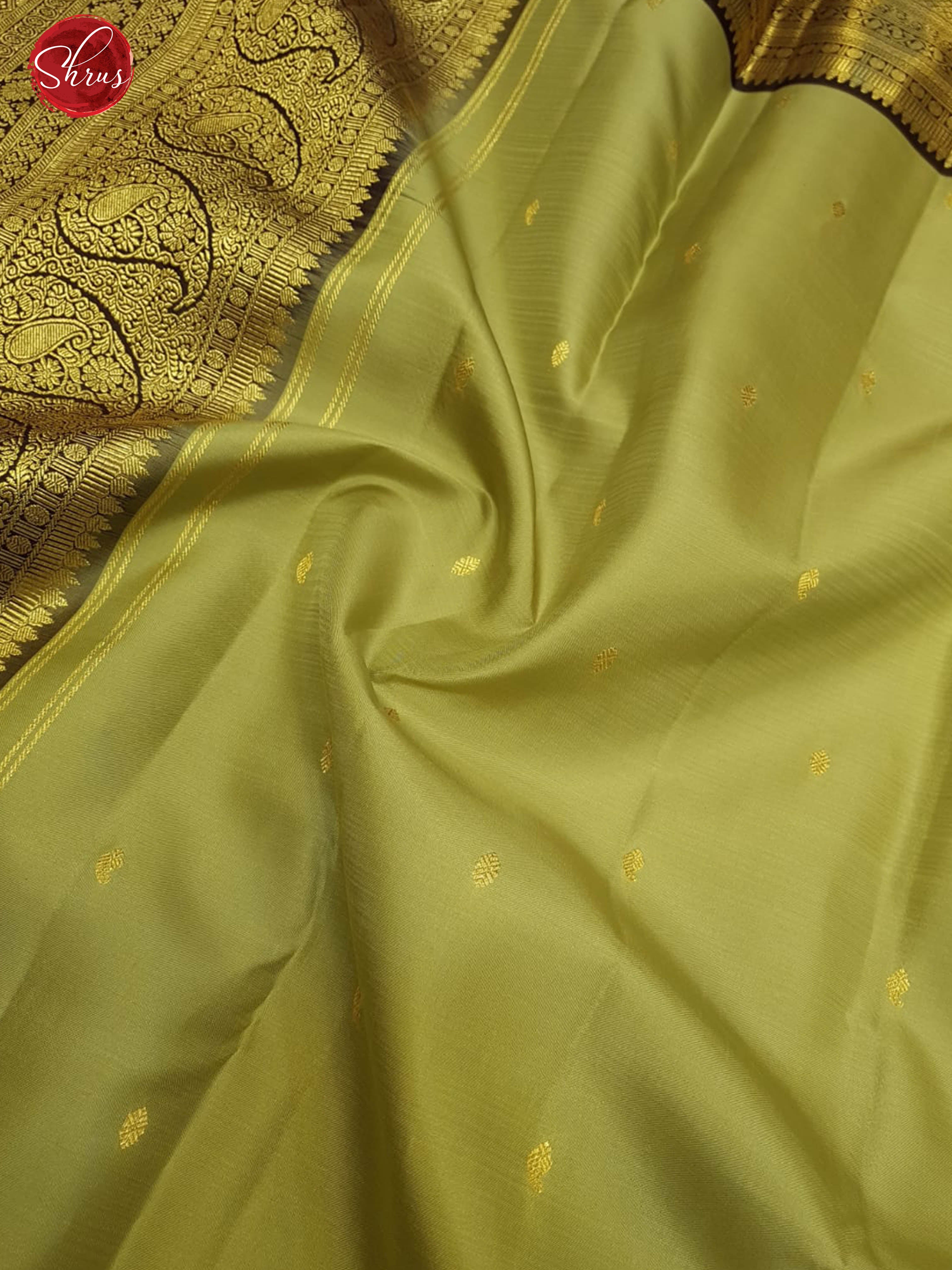 Elachi Green & Brown - Kanchipuram Silk with zari buttas on the body & Zari Border - Shop on ShrusEternity.com