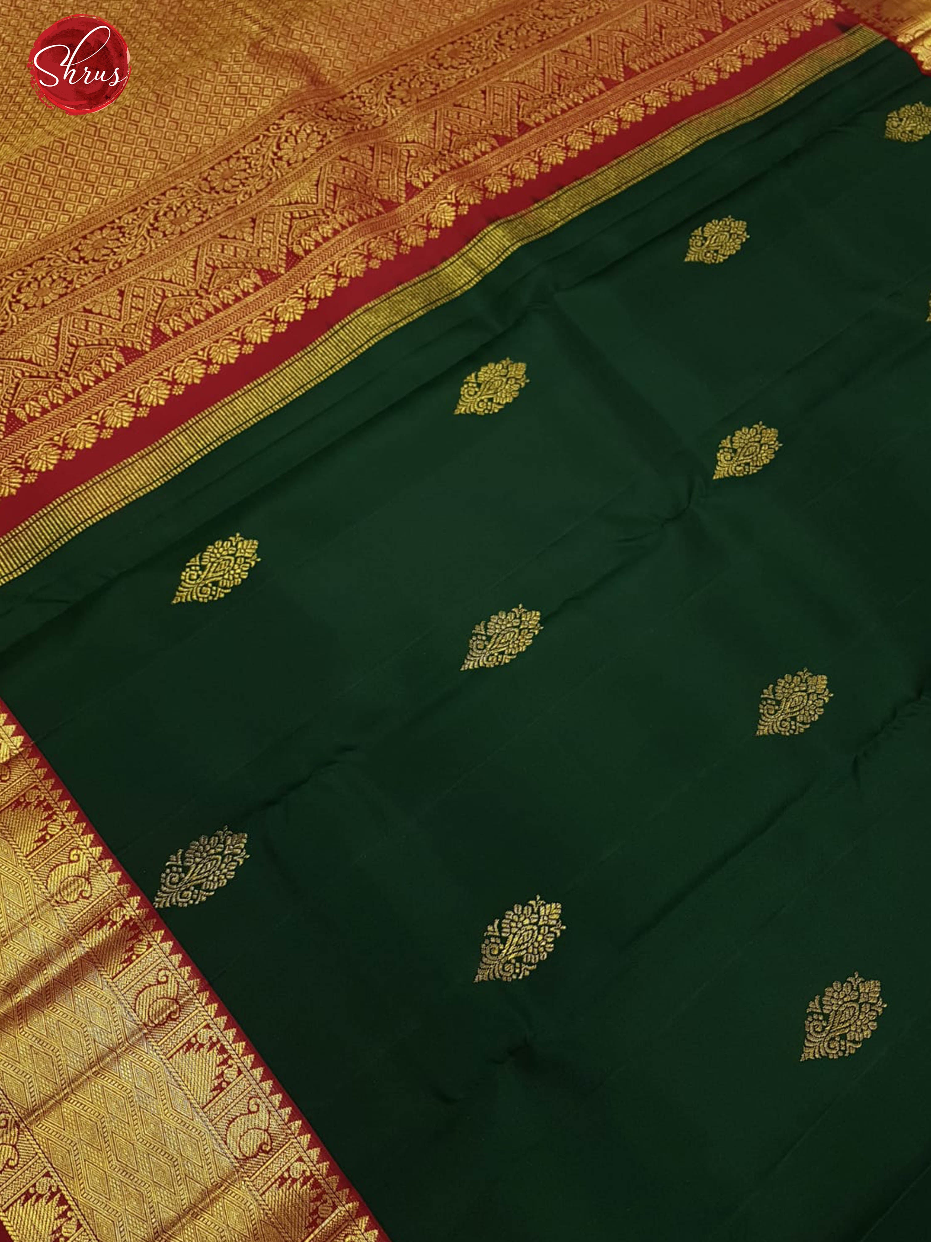 Green & Red - Kanchipuram Silk with zari woven floral motifs  on the body & contrast Zari Border - Shop on ShrusEternity.com