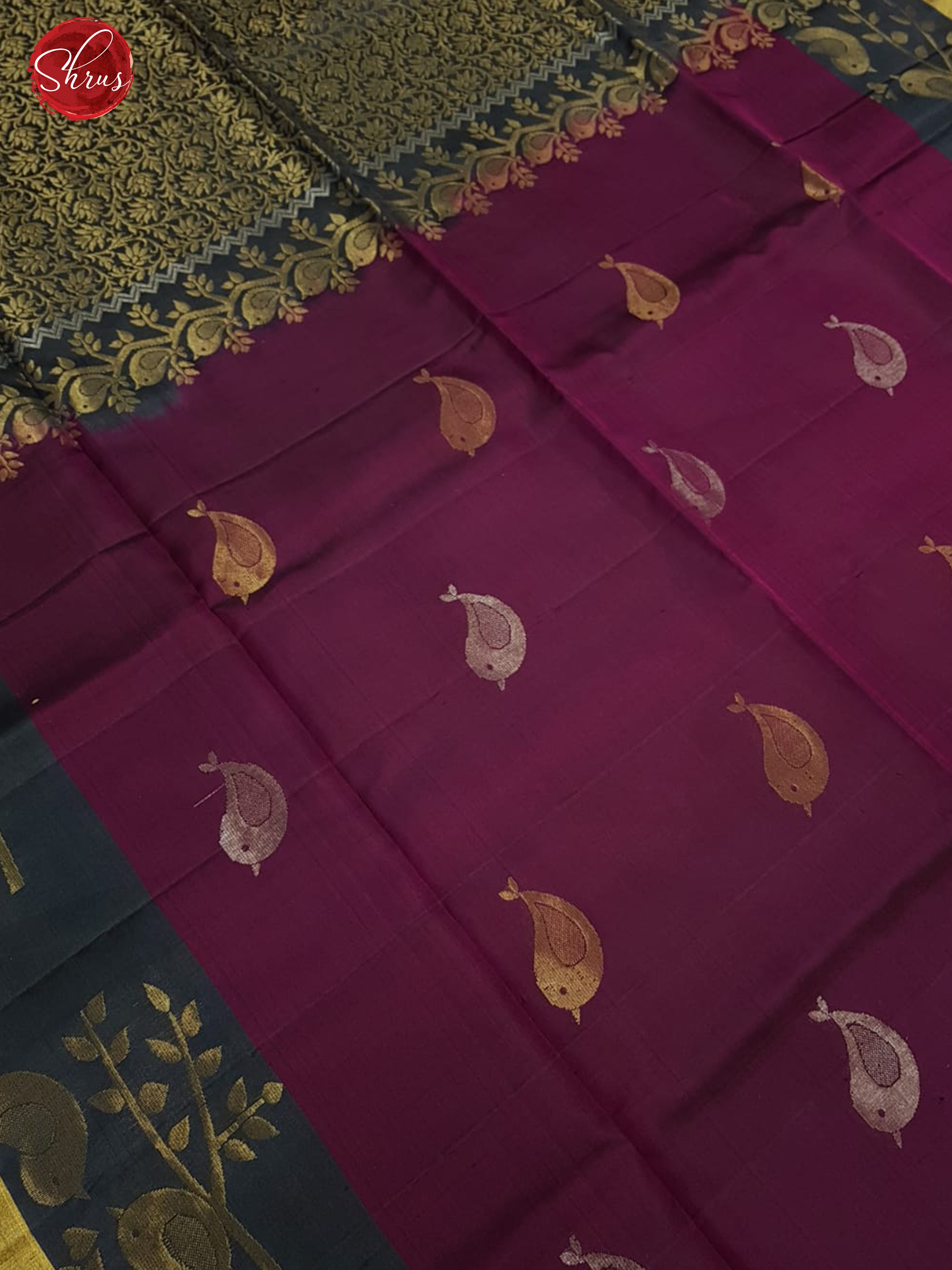 Wine & Grey - Soft Silk with zari woven birds motifs on the body & contrast Border - Shop on ShrusEternity.com