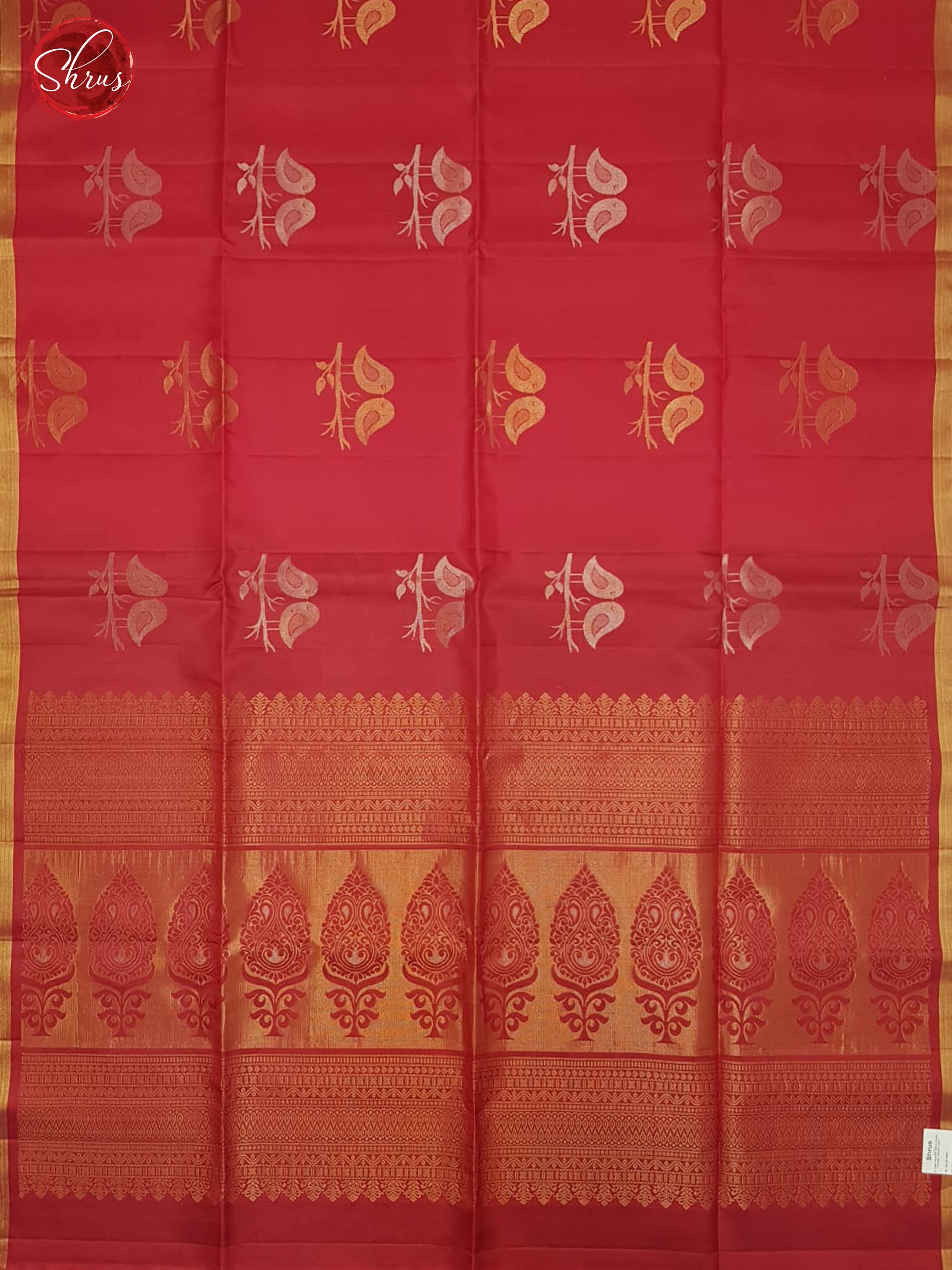 Pink & Blue -Borderless Soft SIlk with zari woven birds motif on the body - Shop on ShrusEternity.com