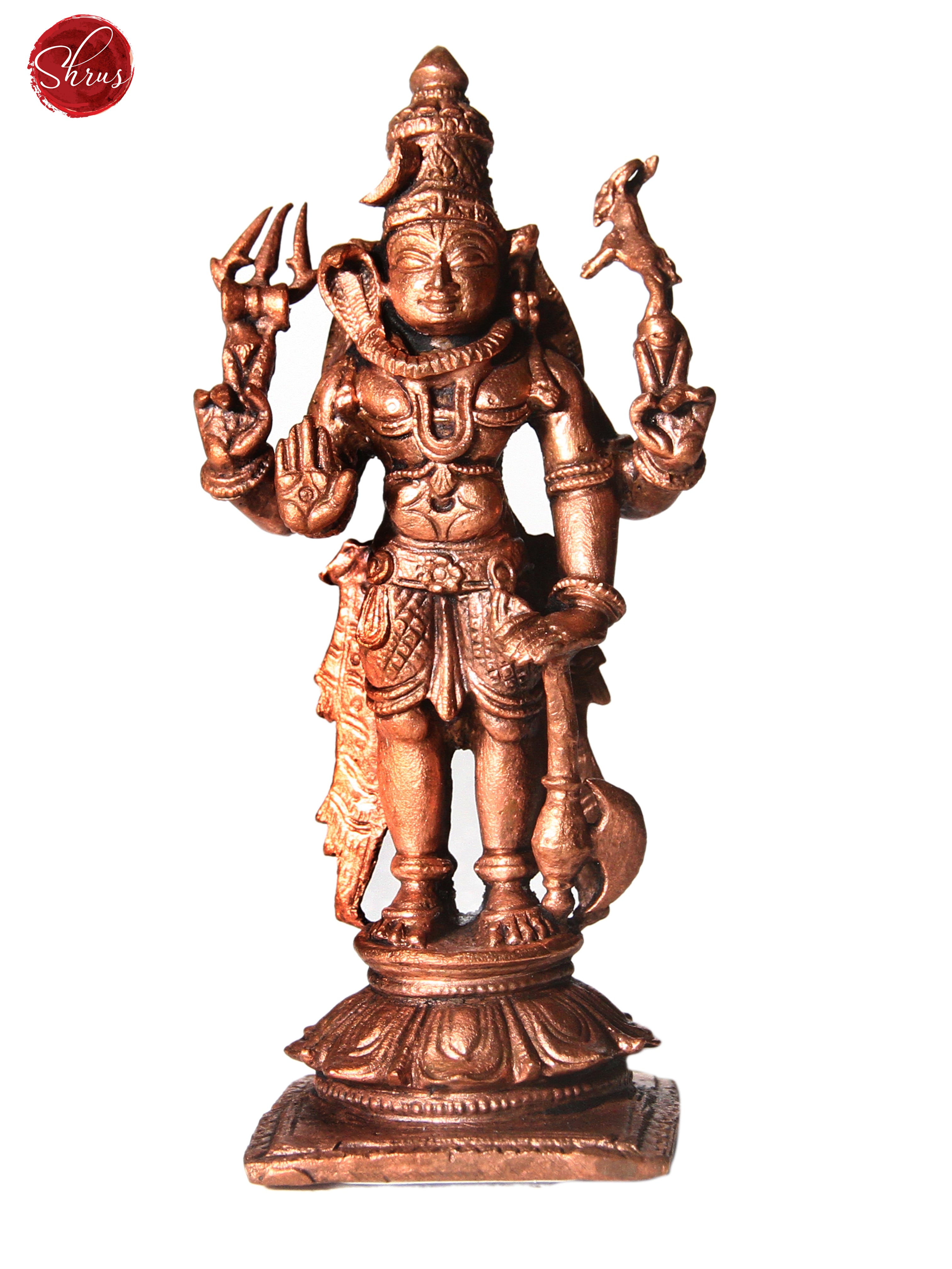 Shiva - Shop on ShrusEternity.com
