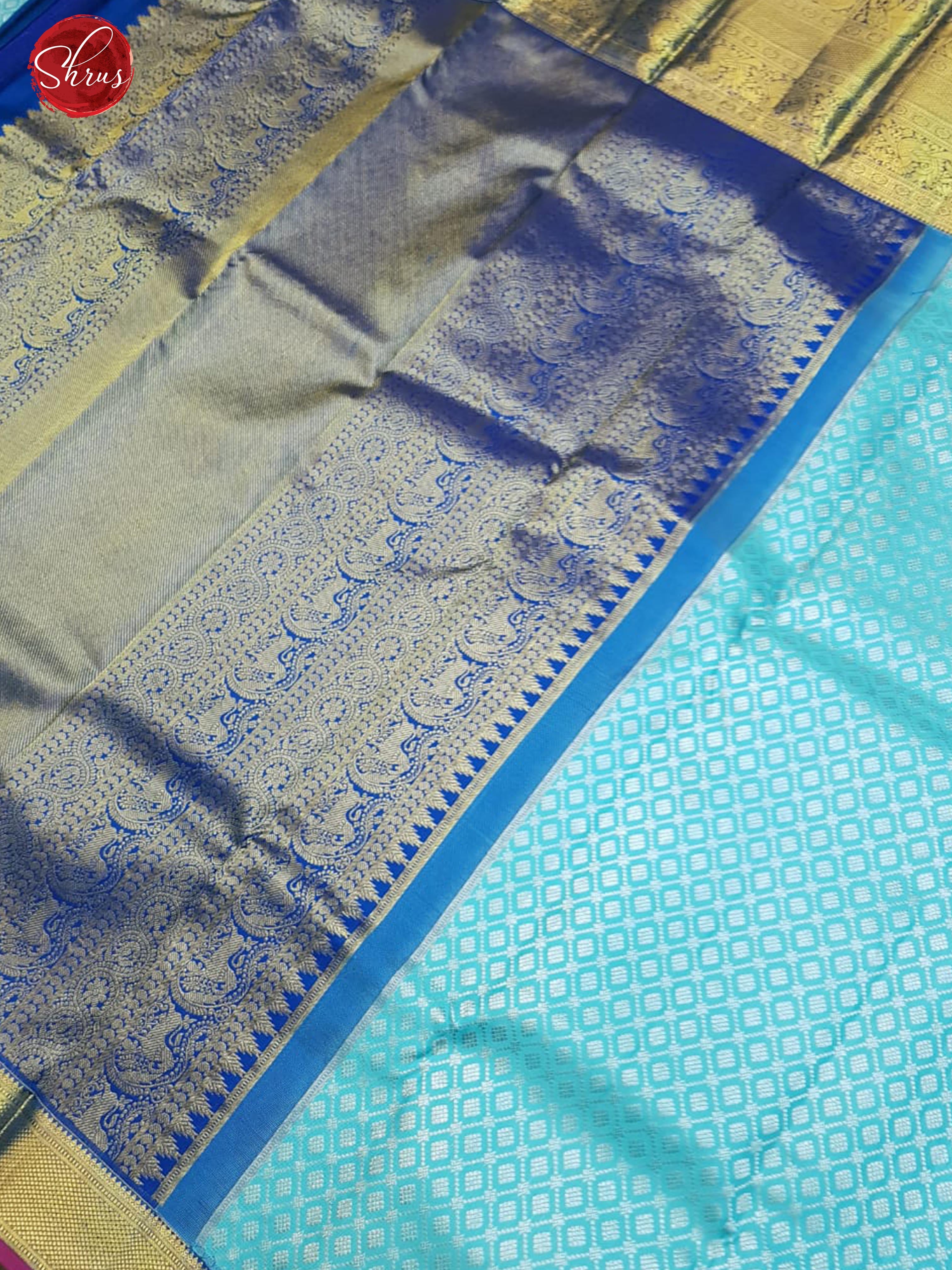 Ice Blue & Blue- Kanchipuram Silk with Zari woven criss cross floral brocade on the body & Zari Border - Shop on ShrusEternity.com
