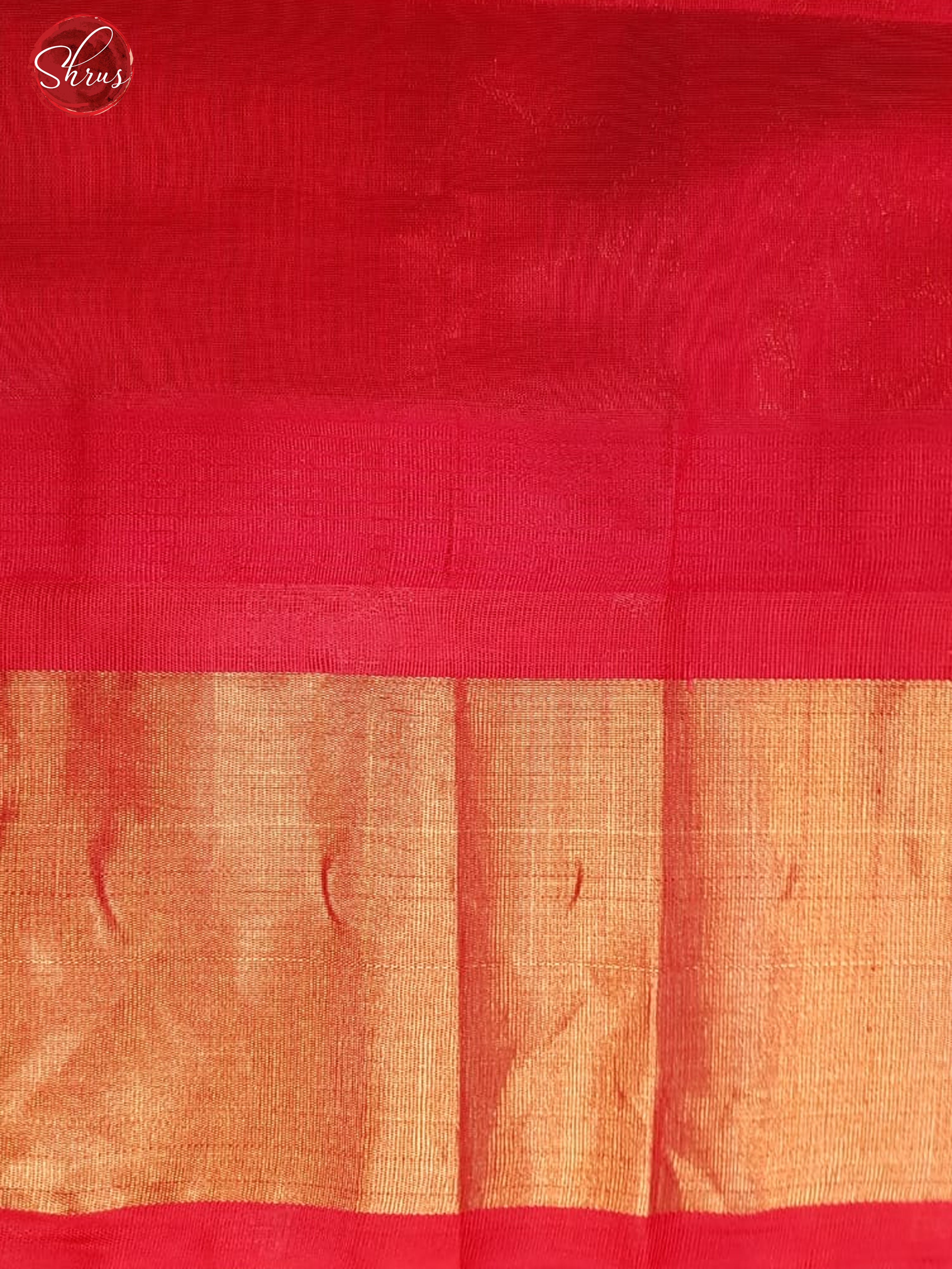 Green and Red - Silk Cotton with kalamkari print on the body & Contrast Zari Border - Shop on ShrusEternity.com